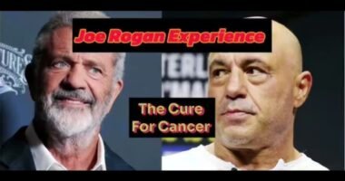 Ivermectin: A Game-Changer in Cancer Treatment? The Mel Gibson-Joe Rogan Revelation