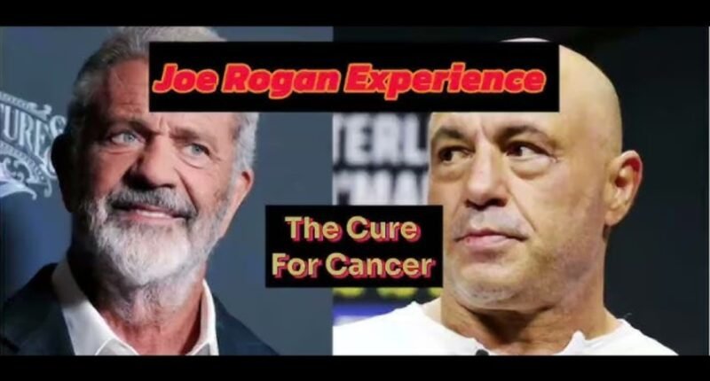 Ivermectin: A Game-Changer in Cancer Treatment? The Mel Gibson-Joe Rogan Revelation