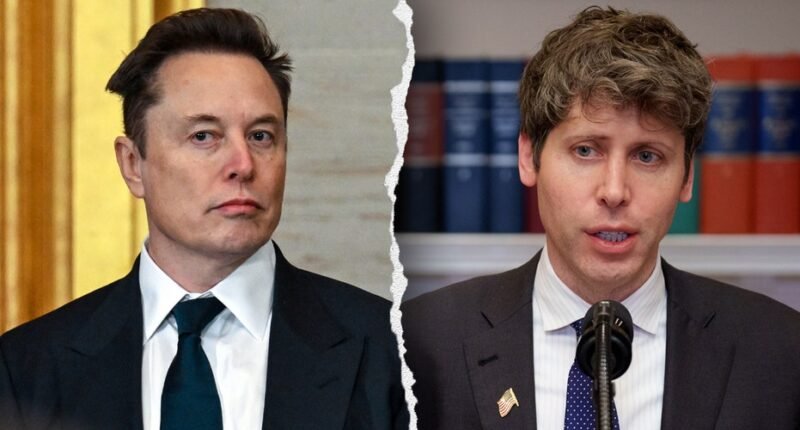 Musk-Alman split